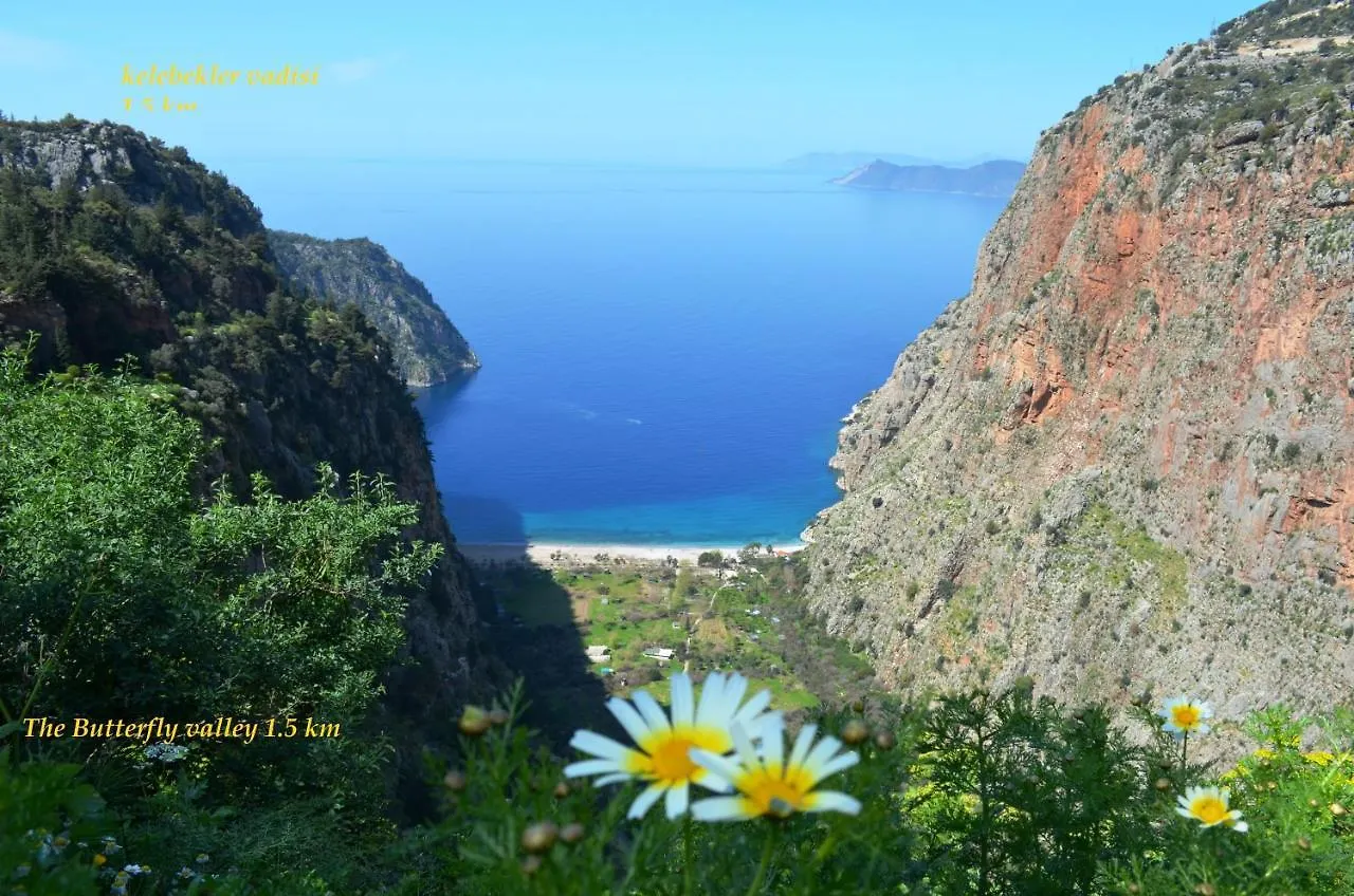 California Apart Otel Ölüdeniz Türkiye